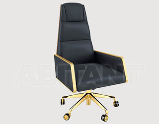 Кресло для кабинета Bruno Zampa 2020 REGENT office chair