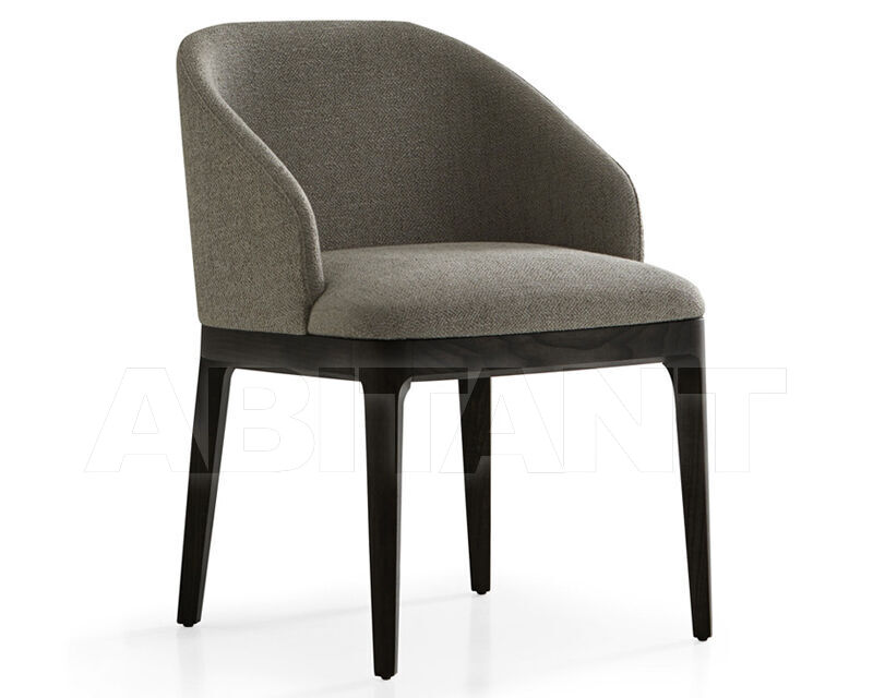 Купить Стул с подлокотниками  Carla Coleccion Alexandra 2024 A3910/01