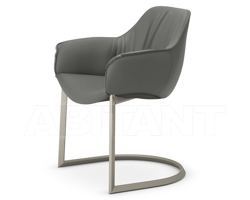 Купить Стул с подлокотниками Cattelan Italia 2024 SCARLETT Cantilever