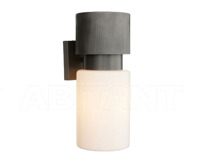 Купить Фасадный светильник Crawford Arteriors Home  2025 DWC43
