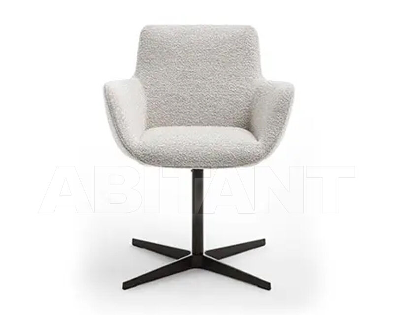 Купить Стул с подлокотниками AURA Galimberti Nino 2025 AUR 92C SWIVEL