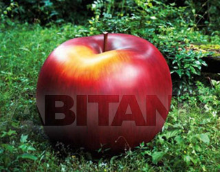 Интерьерная миниатюра Bull&Stein Transparences 10 20 12 11