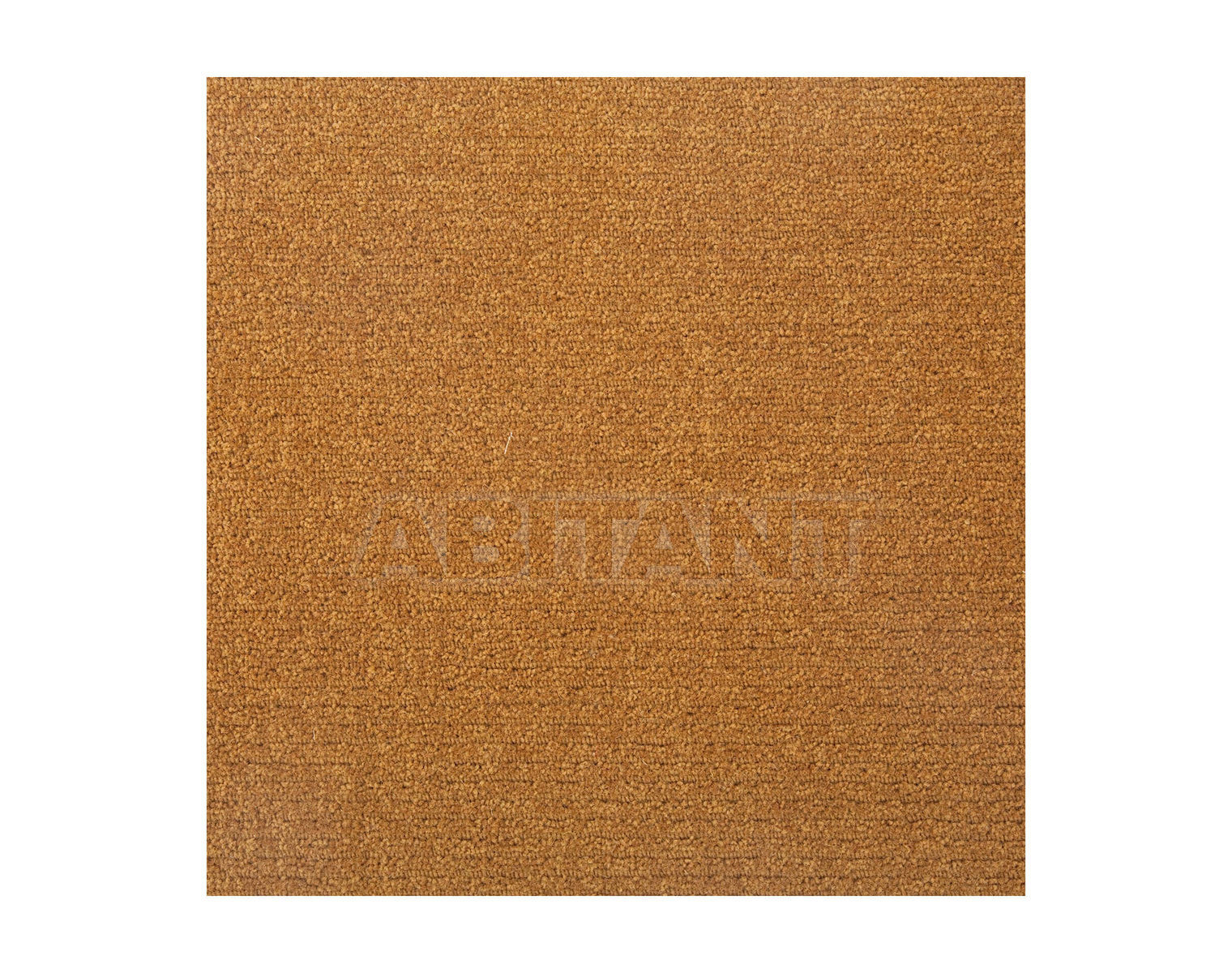 Купить Ковролин M.I.D. CarpetsB.V. Wool Marillo Frisé 4026 1M1N 20A7