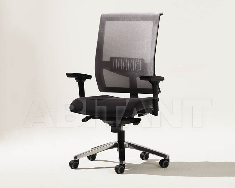Купить Кресло Orion Vigano Office Easy Business ORO2E Cat. A+C+B