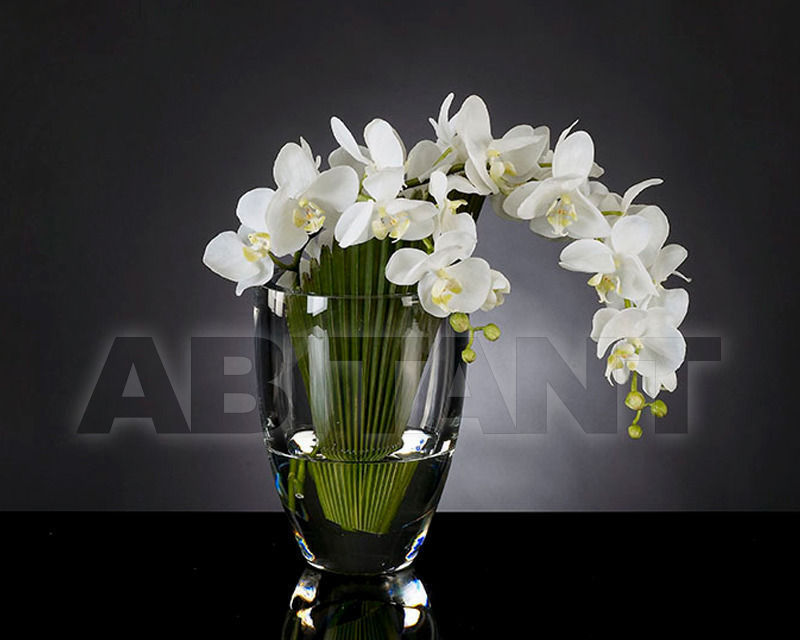 Купить Ваза Phalenopsis VGnewtrend Home Decor 1140781.95