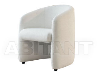 Кресло Citterio Meda Chair TANIA 62PT