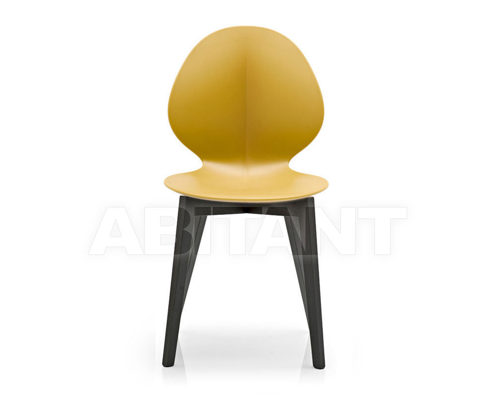 Купить Стул BASIL Calligaris  Dining CS1348 P132, P973