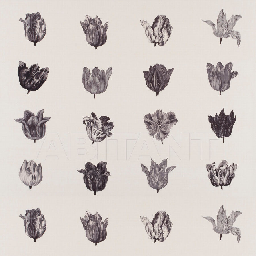 Купить Обивочная ткань TULIP Chivasso BV 2015 CH2660 090