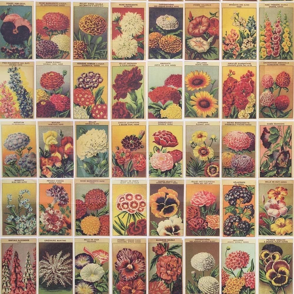 Купить Обивочная ткань Ian Sanderson Rustica SEED PACKETS Regimentaire Vintage